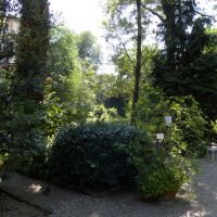 Ogród Botaniczny Brera - Mediolan 
