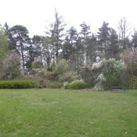 Arboretum Novy Dvur - Czeski Śląsk  
