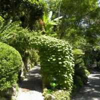 Giardini La Mortella - Ischia - Campania