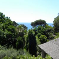 Giardini La Mortella - Ischia - Campania