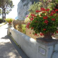 Ogrody Augusta - Capri - Campania
