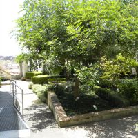 Giardino della Minerva - Salerno - Campania