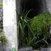 Giardino della Minerva - Salerno - Campania