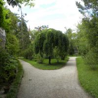 Ogród botaniczny w Padwie - Veneto