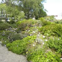 Ogród botaniczny w Wiedniu