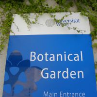 Ogród botaniczny w Wiedniu
