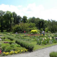 Ogród botaniczny w Krakowie