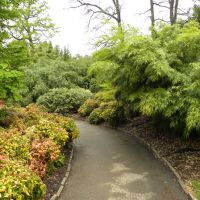 Kew Gardens - Anglia
