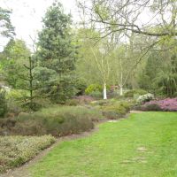 Wisley Gardens - Anglia