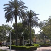 Umm Suqaim Park - Dubaj - ZEA