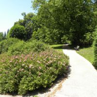 Villa Paradiso - Levico Terme - Trentino Alto Adige