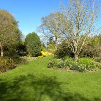 Hilier Gardens - Anglia