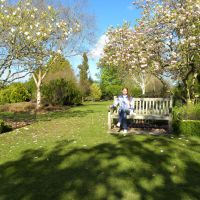 Hilier Gardens - Anglia