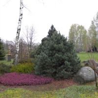 Arboretum Machowskie