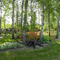 Arboretum Machowskie