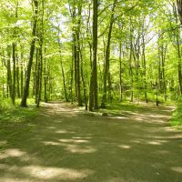 Park Ostromecko - Kujawy