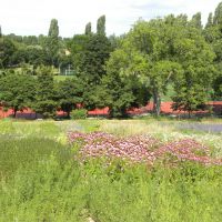 Arboretum i zieleń - Pannonhalma - Węgry