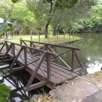 Sir Seewoosagur Ramgoolam Botanic Garden - Mauritius
