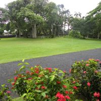 Ogród Labourdonnais - Mapou - Mauritius