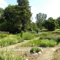 Ogród botaniczny - Lublin