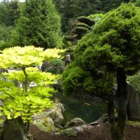 Ogród japoński - Jarków - Dolny Śląsk