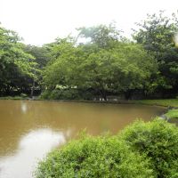 Casela Park - Mauritius
