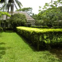 Ogród botaniczny Saint Aubin - Mauritius