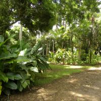 Ogród botaniczny Saint Aubin - Mauritius