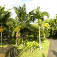 Maritim Park - Balaclawa - Mauritius