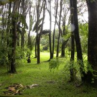 Le Domaine des Aubineaux - Curepipe - Mauritius