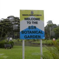 Ogród botaniczny - Curepipe - Mauritius
