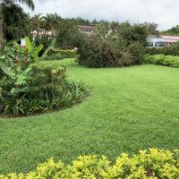 Posiadłość Bois Cheri - Mauritius 
