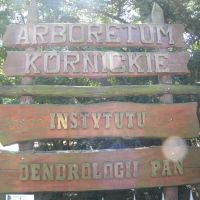 Arboretum Kórnickie - Wielkopolska