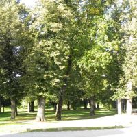 Park w Wojanowie - Dolny Śląsk