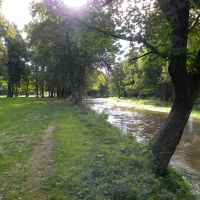 Park w Wojanowie - Dolny Śląsk