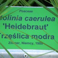 Arboretum Wojsławice - Dolny Śląsk