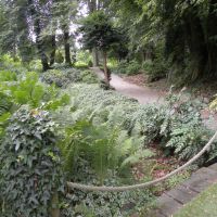 Arboretum Wojsławice - Dolny Śląsk