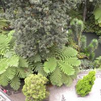 Monte Palace Tropical Garden - Madera