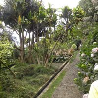 Monte Palace Tropical Garden - Madera