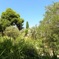 Ogród botaniczny Marimurtra - Blanes - Katalonia